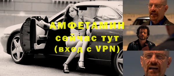 индика Осинники