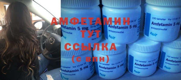 индика Осинники