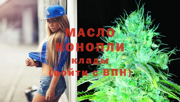 индика Калининец