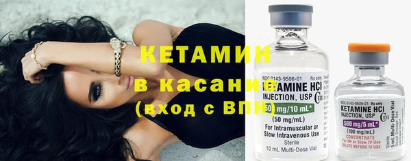 индика Осинники