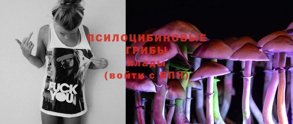 индика Осинники