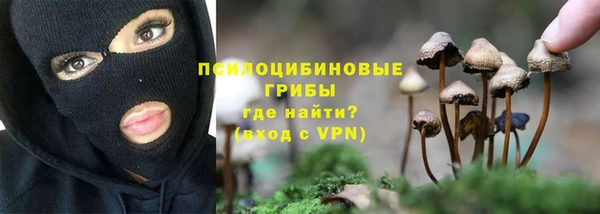ПСИЛОЦИБИНОВЫЕ ГРИБЫ Великий Новгород