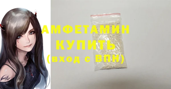 индика Осинники