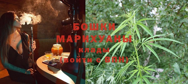 индика Осинники
